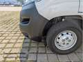 Opel Movano C L2H2 3,5t Edition Kundendienst neu Weiß - thumbnail 5