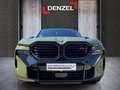 BMW XM G09 XB01 Grün - thumbnail 13