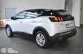 Peugeot 3008 BlueHDi 130 S&S EAT8 Business Bianco - thumbnail 6