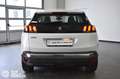 Peugeot 3008 BlueHDi 130 S&S EAT8 Business Bianco - thumbnail 5