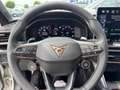 CUPRA Leon 1.5 eTSI DSG ACC SHZ RFK KEYLESS 1.5 eTSI DSG 1... Grau - thumbnail 10