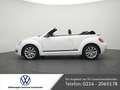 Volkswagen Beetle Cabriolet 1.2 Club NAVI SHZ XENON PDC Blanco - thumbnail 15