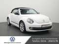 Volkswagen Beetle Cabriolet 1.2 Club NAVI SHZ XENON PDC Alb - thumbnail 13