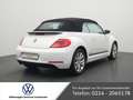 Volkswagen Beetle Cabriolet 1.2 Club NAVI SHZ XENON PDC Alb - thumbnail 4