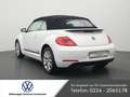 Volkswagen Beetle Cabriolet 1.2 Club NAVI SHZ XENON PDC Alb - thumbnail 14