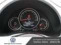 Volkswagen Beetle Cabriolet 1.2 Club NAVI SHZ XENON PDC Alb - thumbnail 6