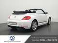 Volkswagen Beetle Cabriolet 1.2 Club NAVI SHZ XENON PDC Alb - thumbnail 2