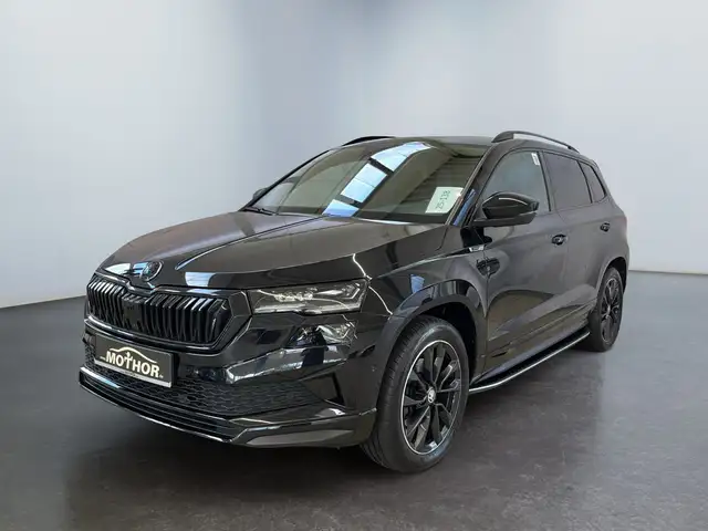 Skoda Karoq view 2