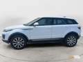 Land Rover Range Rover Evoque 2.0 TD4 150 CV 5p. SE Wit - thumbnail 6
