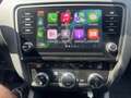 Skoda Octavia Skoda Octavia Combi 1.6 TDI Style Limited 4x4 Grijs - thumbnail 19