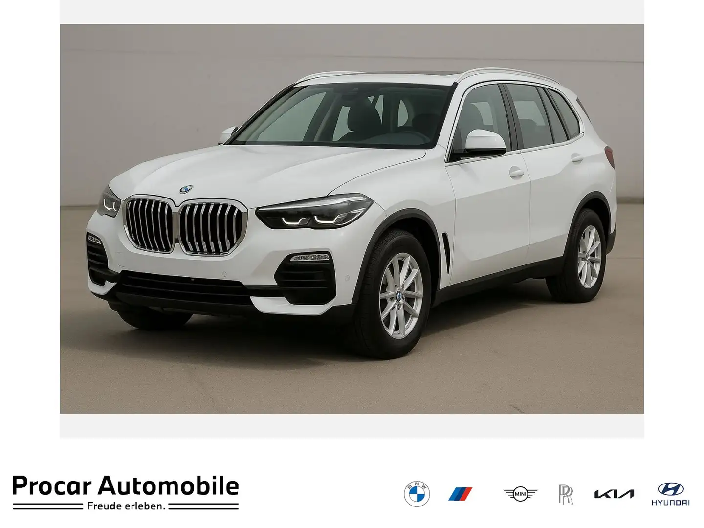 BMW X5 xDrive30d GEWERBL. LEAS. AB EUR 579,- RFK Blanc - 1