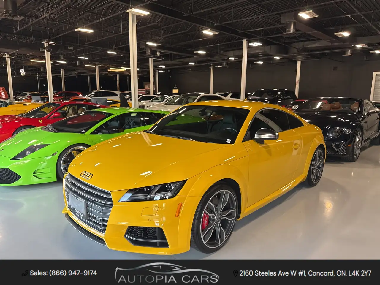 Audi TTS снимка Audi TTS