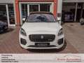 Jaguar E-Pace E-PACE D200 R-Dynamic SE*Winter-Paket*Black-Pack Blanc - thumbnail 2