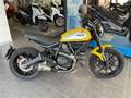 Ducati Scrambler 800, "ICON", SOLO 22.000KM, 12 MESI DI GARANZIA Giallo - thumbnail 4