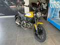 Ducati Scrambler 800, "ICON", SOLO 22.000KM, 12 MESI DI GARANZIA Giallo - thumbnail 3