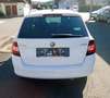 Skoda Fabia Combi Ambition TSI**Klima**1.Bes. Weiß - thumbnail 7
