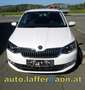 Skoda Fabia Combi Ambition TSI**Klima**1.Bes. Weiß - thumbnail 3