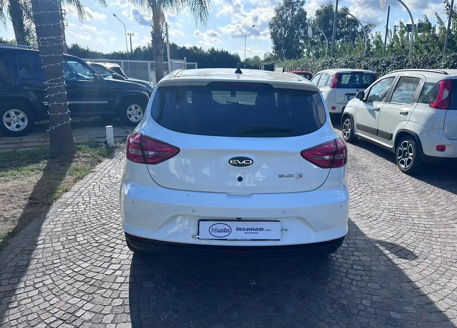 EVO EVO3 Evo 3 3 1.5 Gpl 113 cv Weiß - 2