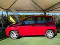 Fiat Panda Pandina 1.0 firefly hybrid s Rood - thumbnail 5