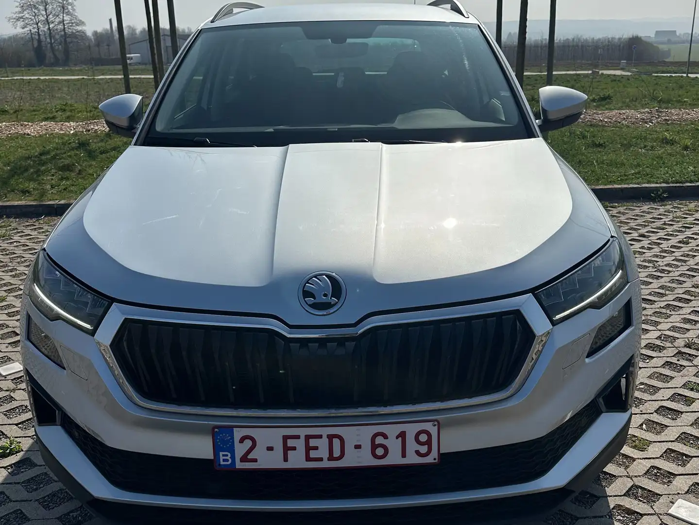 Skoda Karoq 2.0 CR TDi SCR Ambition Gris - 1