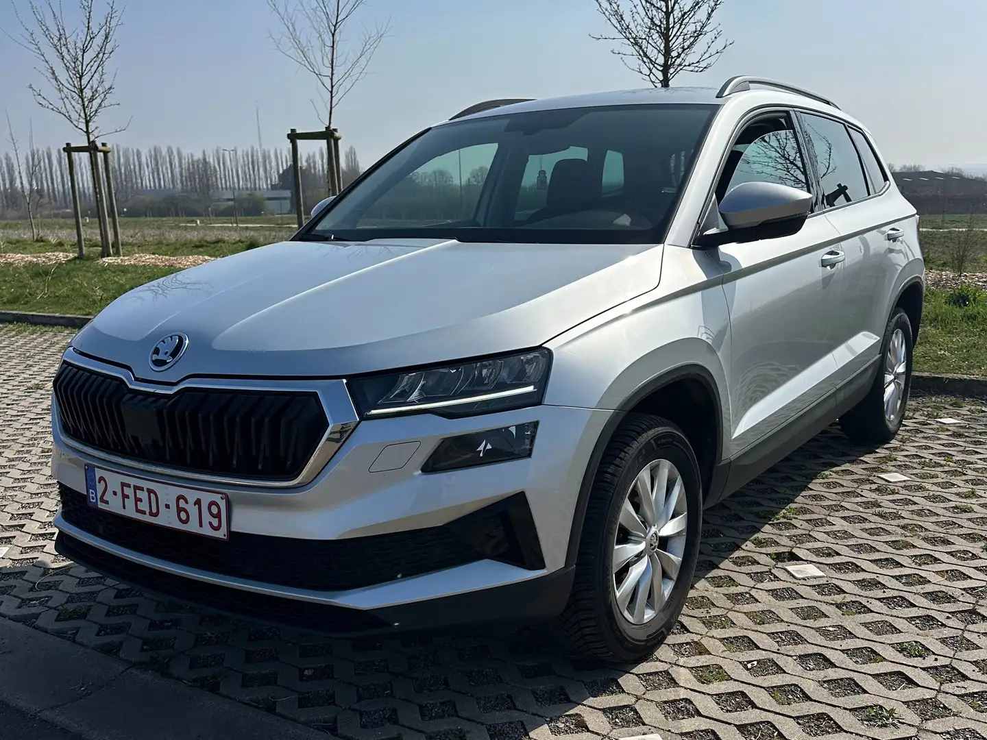 Skoda Karoq 2.0 CR TDi SCR Ambition Gris - 2