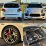 Porsche Cayenne GTS MIETKAUF*Bose*Klappenauspuff Weiß - thumbnail 6