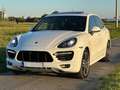 Porsche Cayenne GTS MIETKAUF*Bose*Klappenauspuff Weiß - thumbnail 2