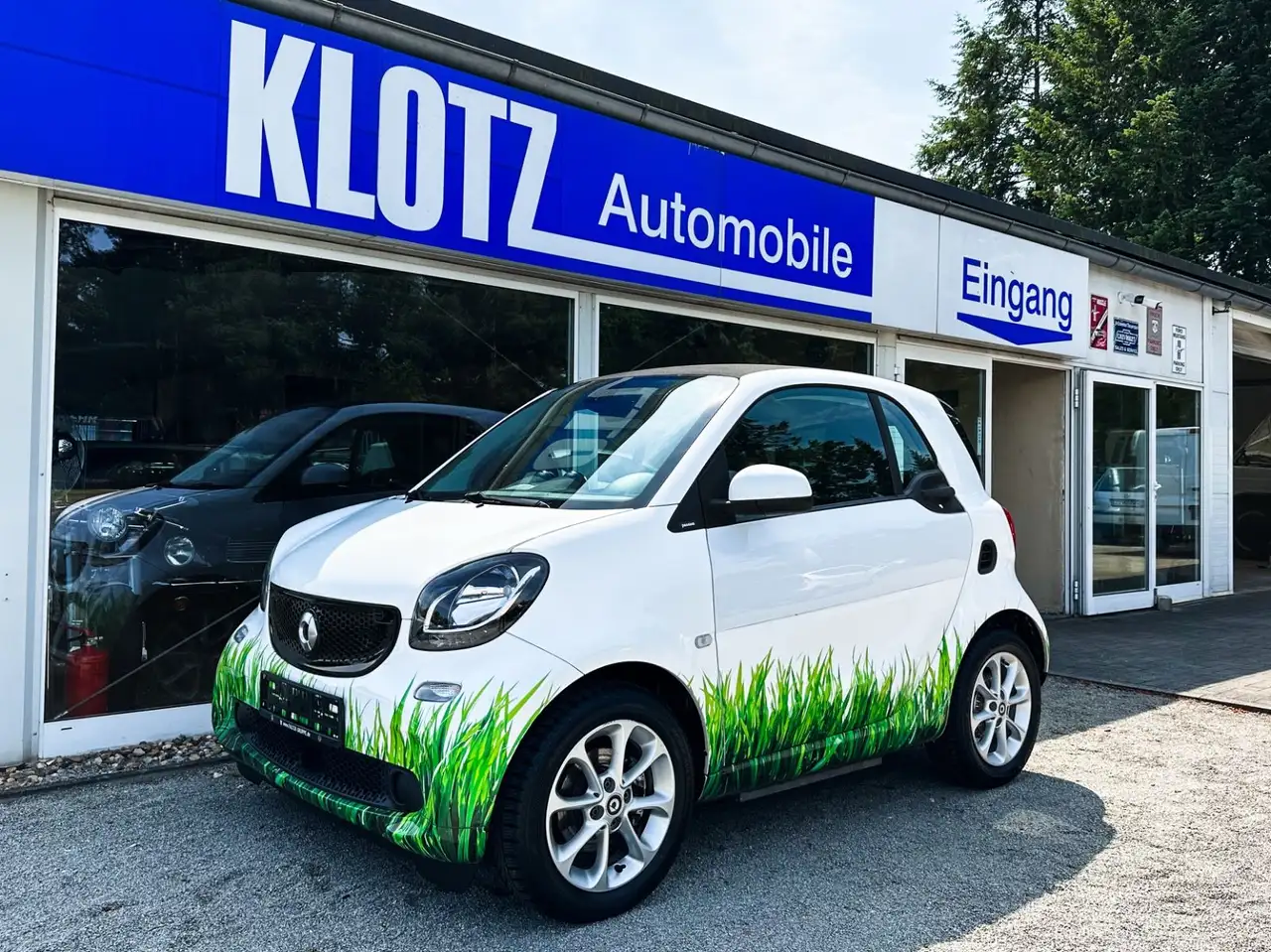 smart forTwo