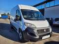 Fiat Ducato 3.0 metano 77000km Bianco - thumbnail 2