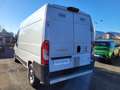 Fiat Ducato 3.0 metano 77000km Bianco - thumbnail 7