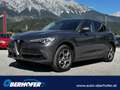Alfa Romeo Stelvio 2.0 200PS ATX Q4 Super Grau - thumbnail 1