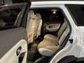Land Rover Range Rover Evoque 5p 2.0 td4 HSE Dynamic 180cv auto IVA ESPOSTA Blanc - thumbnail 9