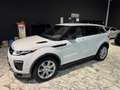 Land Rover Range Rover Evoque 5p 2.0 td4 HSE Dynamic 180cv auto IVA ESPOSTA Blanc - thumbnail 6