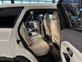 Land Rover Range Rover Evoque 5p 2.0 td4 HSE Dynamic 180cv auto IVA ESPOSTA Blanc - thumbnail 10