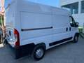 Opel Movano 33 L2H2 2.2 blueHDI 120 cv s&s Blanc - thumbnail 7