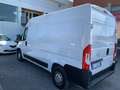 Opel Movano 33 L2H2 2.2 blueHDI 120 cv s&s Blanc - thumbnail 8