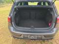 Volkswagen Golf R VW Golf R 2.0 TSI 4Motion DSG Performance/Pano/uvm Grau - thumbnail 7