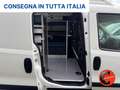 Fiat Doblo 1.4 N.P(ALLESTITO CH2-PC-TA PASSO CORTO TETTO ALTO Bianco - thumbnail 15