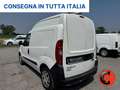 Fiat Doblo 1.4 N.P(ALLESTITO CH2-PC-TA PASSO CORTO TETTO ALTO Bianco - thumbnail 6