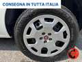 Fiat Doblo 1.4 N.P(ALLESTITO CH2-PC-TA PASSO CORTO TETTO ALTO Bianco - thumbnail 34