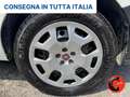 Fiat Doblo 1.4 N.P(ALLESTITO CH2-PC-TA PASSO CORTO TETTO ALTO Bianco - thumbnail 35