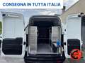Fiat Doblo 1.4 N.P(ALLESTITO CH2-PC-TA PASSO CORTO TETTO ALTO Bianco - thumbnail 17