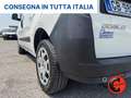 Fiat Doblo 1.4 N.P(ALLESTITO CH2-PC-TA PASSO CORTO TETTO ALTO Bianco - thumbnail 33