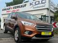 Ford Kuga Trend 2,0 TDCI 4x4 / 1. Hand Braun - thumbnail 1