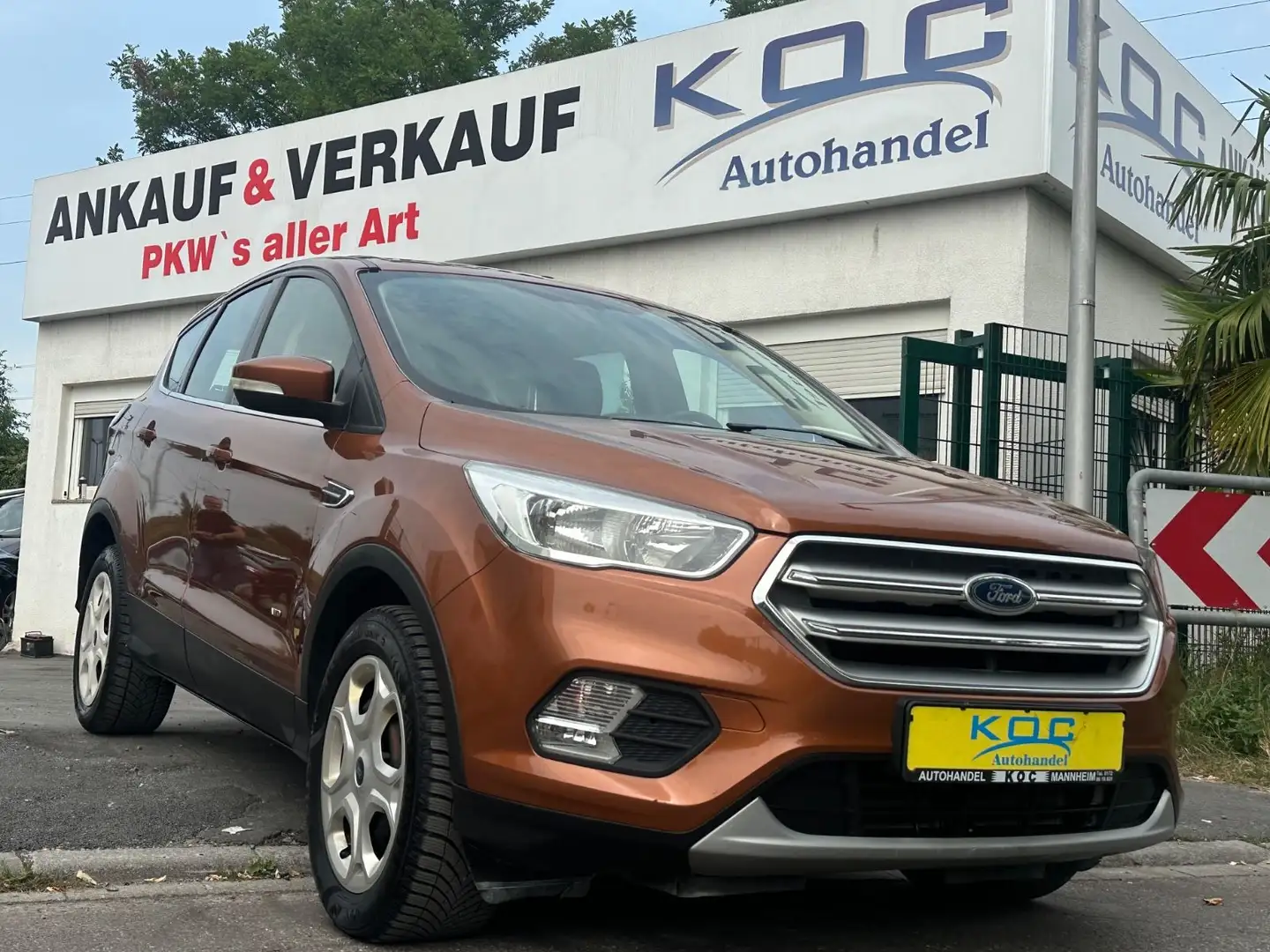 Ford Kuga Trend 2,0 TDCI 4x4 / 1. Hand Braun - 1