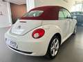 Volkswagen New Beetle 1.9 TDI 105CV Cabrio Limited Red Edition White - thumbnail 5