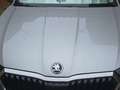 Skoda Octavia Combi 1.5 TSI 110kW DSG m-HEV Style Gris - thumbnail 18