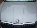 Skoda Octavia Combi 1.5 TSI 110kW DSG m-HEV Style Gris - thumbnail 17