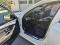BMW 525 525d xDrive Aut. M-Paket ab werk Weiß - thumbnail 5