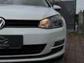 Volkswagen Golf 7 1,6 TDI Rabbit Finanzierung möglich Weiß - thumbnail 16